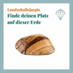 Dein-Seelenstein-Heilstein-Landschaftsjaspis-Spruch