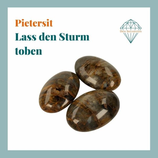 Dein-Seelenstein-Produkt-Pietersit-Spruch