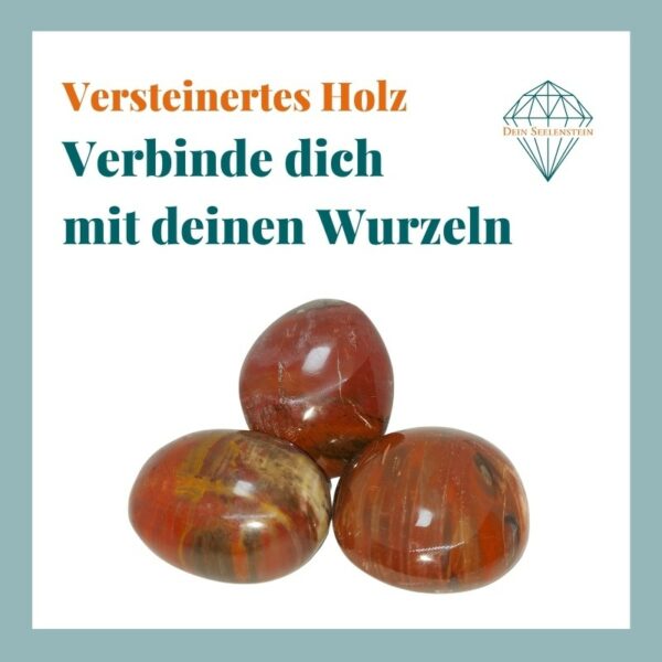 Dein-Seelenstein-Produkt-versteinertes-Holz-Spruch