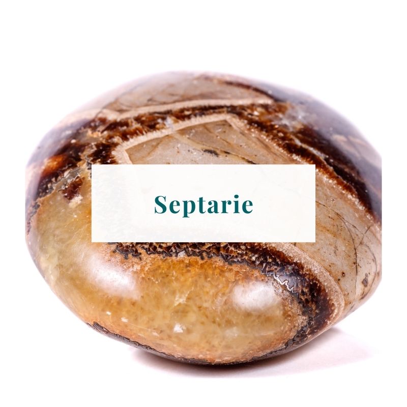 Seelenstein-Septarie