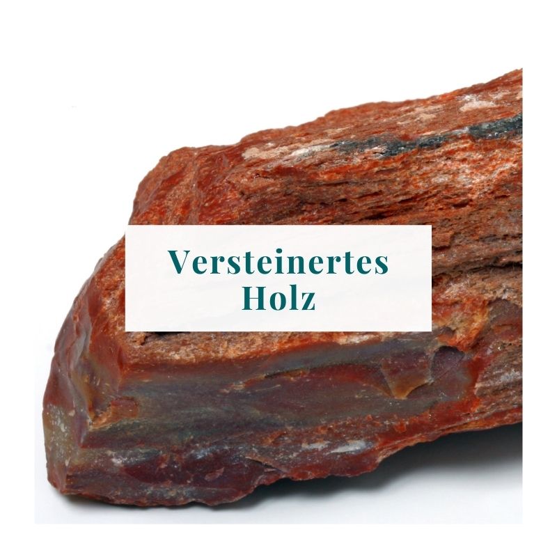 Seelenstein-Versteinertes-Holz